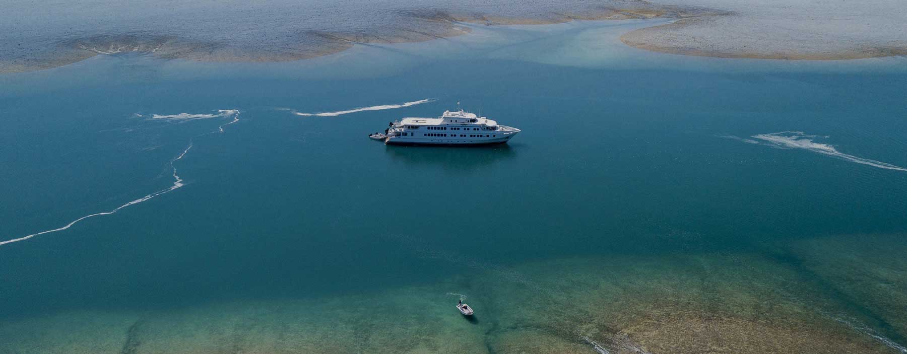 montgomery reef cruise