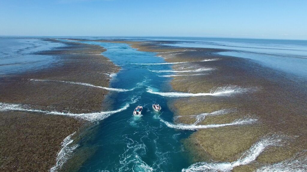 eco_abrolhos_montgomery_reef