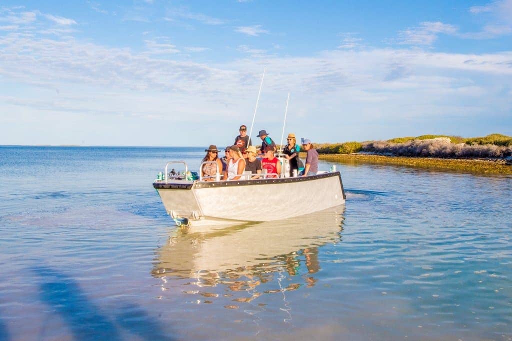 eco_abrolhos_tender_excursions